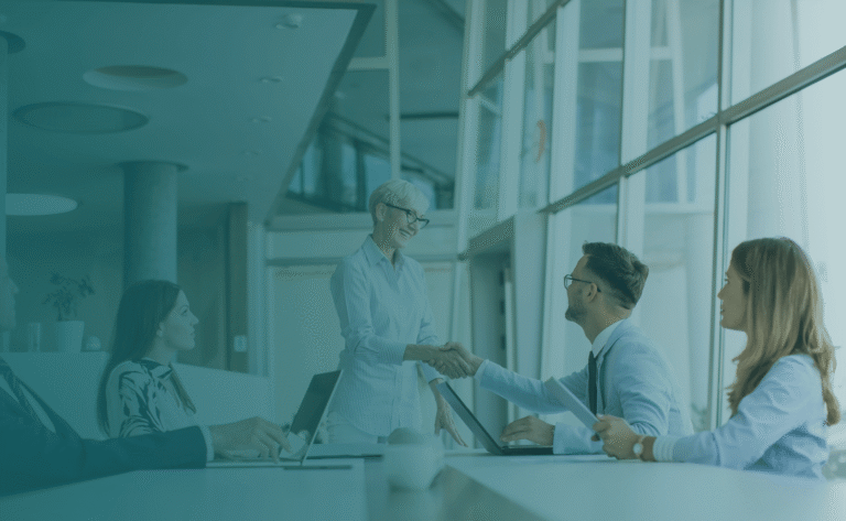 CEO Guide to Strategy Execution