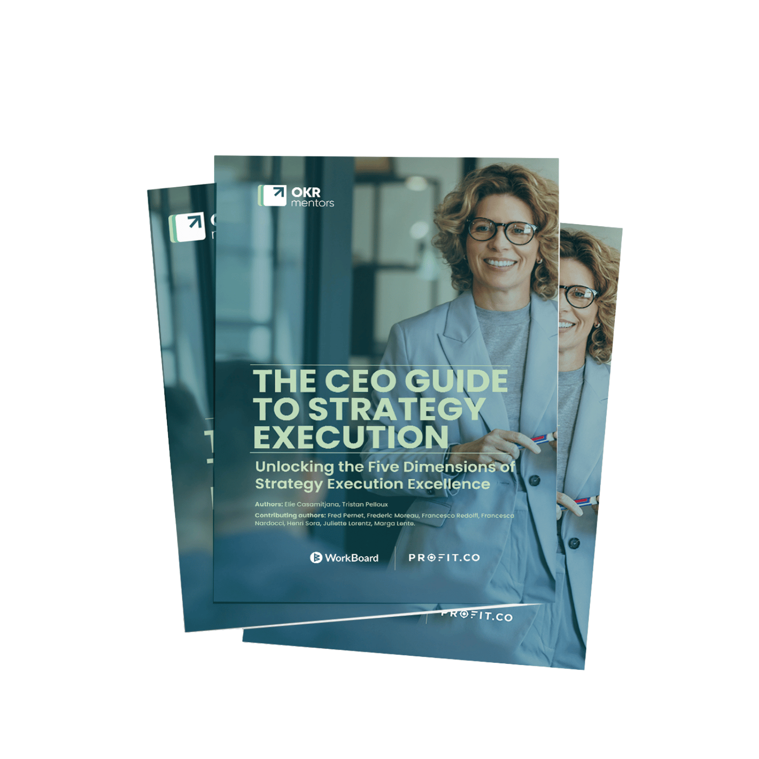 The CEO Guide to Strategy Execution mock up
